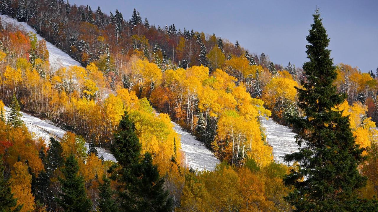 Les Bouleaux - Les Chalets Spa Canada Ла-Мальбе Экстерьер фото